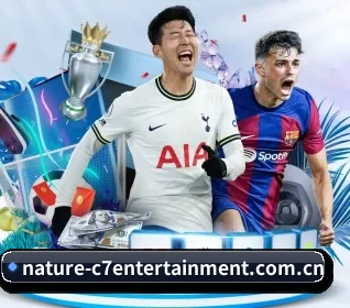 五个功能入口,赛程查询路径更短（C7yule）